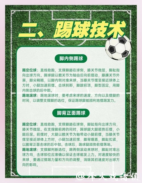 全面解析世界杯体育平台的功能与优势